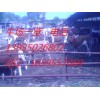 出售肉牛養(yǎng)殖肉牛山西肉牛山西養(yǎng)牛肉牛價格