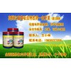 豬雞養(yǎng)殖戶應(yīng)該如何用藥驅(qū)蟲(chóng)孕畜也可用的安全驅(qū)蟲(chóng)藥