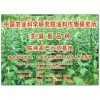 供應中油所芝麻種