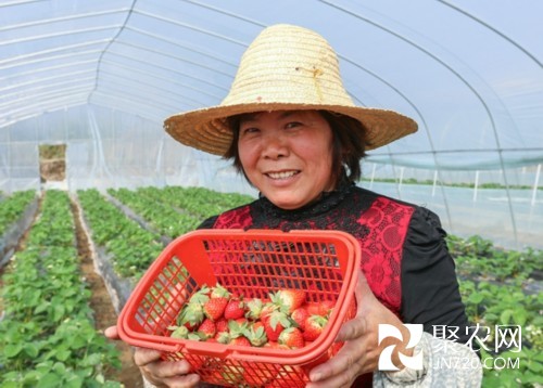 貴州榕江：家庭農(nóng)場(chǎng)成“致富莊園”