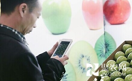 北京：春節前夕進口水果上市量大增