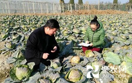 浙江杭州蕭山：節前蔬菜安全檢測不松懈