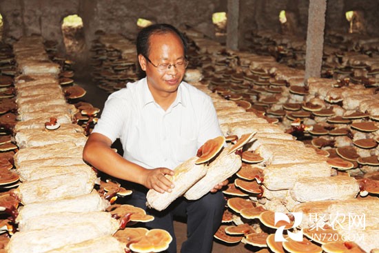 科技扶貧貢獻者常明昌：追夢卅載 一代菇神鑄傳奇