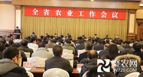 今年黑龍江省糧食種植面積繼續穩定在2億畝以上