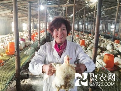 種養帶頭人張秀霞