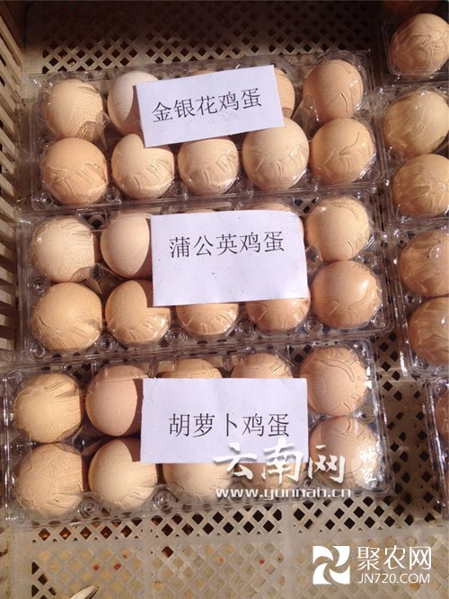 王發(fā)東的創(chuàng)業(yè)之路:讓雞吃中草藥 下生態(tài)蛋
