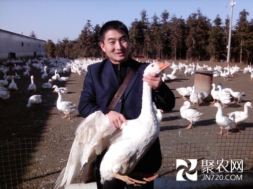 周文:扎根農村闖天地 致富愿當領路人