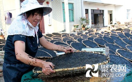 盛亞紅：帶領婦女走上水產養殖致富路