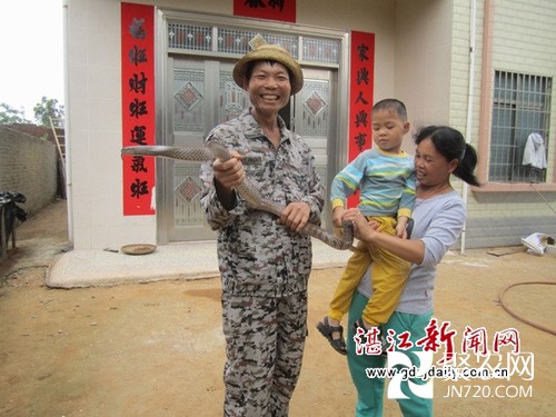 雷州客路鎮(zhèn)三塘村村民養(yǎng)蛇致富