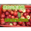 供應(yīng)山東油桃 山東油桃產(chǎn)地 油桃價格 大棚油桃價格