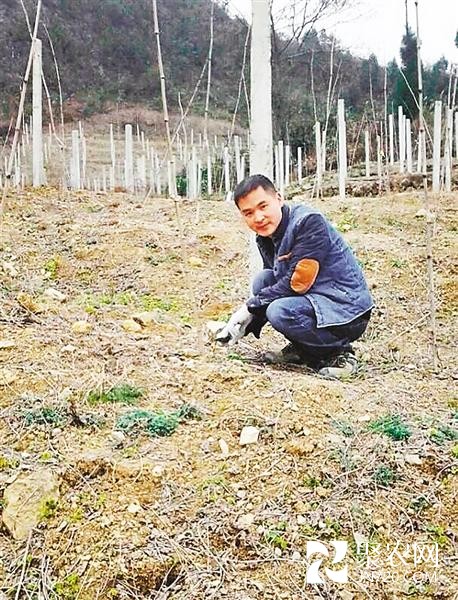 “80后”大學生周鋼林：回農村闖出一片新天地