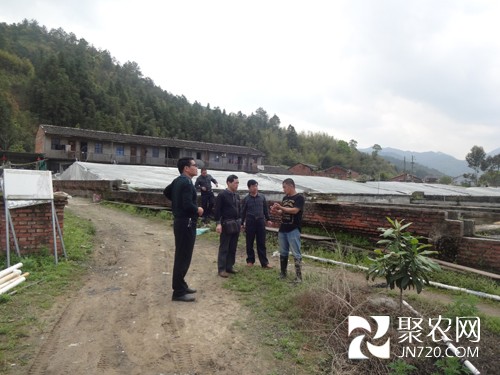 福建清流:考察泥鰍養(yǎng)殖和良種場建設(shè)
