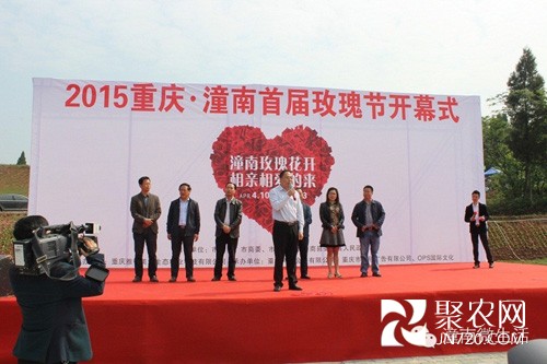 2015重慶潼南首屆玫瑰花節于13日盛大開幕