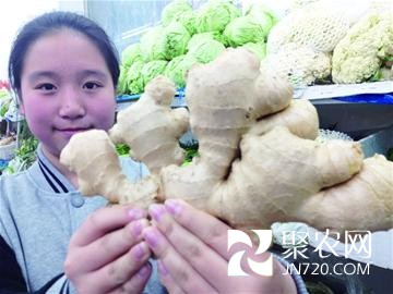 山東青島：漲40%！ “姜你軍”卷土重來