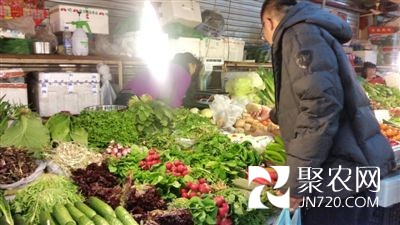 黑龍江哈市地產蘸醬菜大量上市