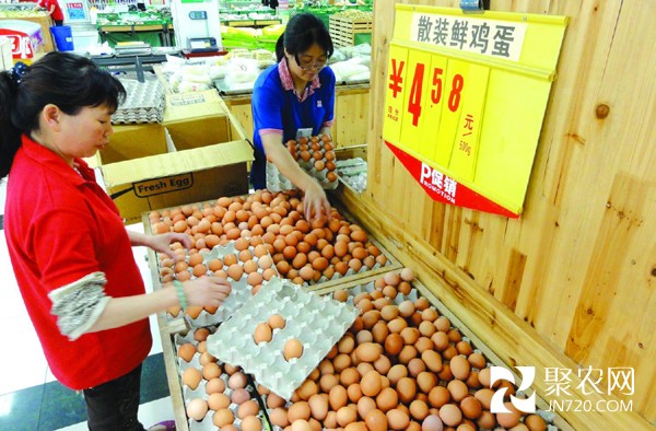 全國雞蛋價格基本止降企穩