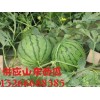 山東油桃/西瓜產地價格求購