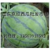 山東西瓜產(chǎn)地山東大棚西瓜批發(fā)