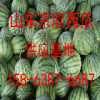 山東油桃價(jià)格