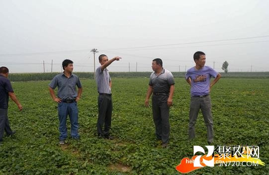 邢臺：創(chuàng)業(yè)青年董謙與他的中草藥基地
