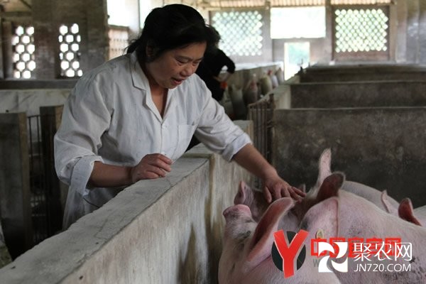 失業(yè)女工“廖大膽”的致富之路