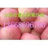 13668696760紅富士蘋果產(chǎn)地山東冷庫蘋果批發(fā)價格