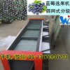 藍莓分選機分選藍莓效果好，是您的首選