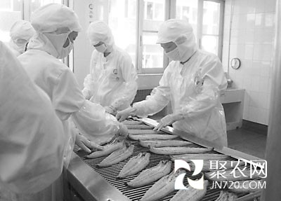 今年第一季度廣東汕頭水產(chǎn)品出口遭遇“寒流”