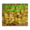 山東大姜市場在哪里山東大姜產地價格山東大姜網