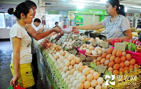 江蘇鹽城：雞蛋價格為何“跌跌不休”？