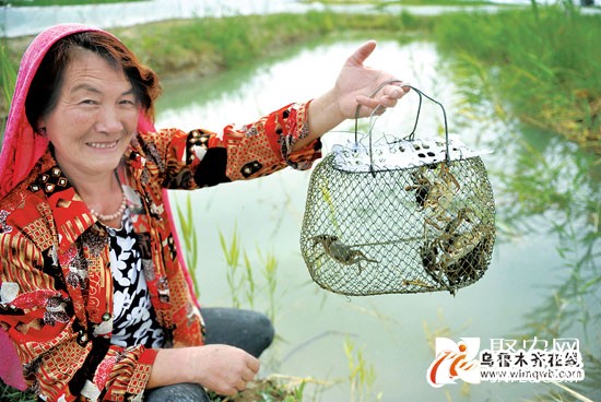 新疆烏魯木齊龔福香：從農民到“稻蟹之家”店主