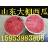 供應山東大棚西瓜15953983808