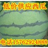 批發(fā)山東西瓜西瓜價(jià)格便宜