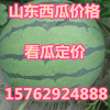 山東西瓜批發(fā)價(jià)格