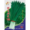 優(yōu)質(zhì)韭菜189F1種子