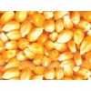 《亞衛(wèi)飼料廠》常年求購玉米，大麥，高粱，棉粕等飼料原料