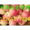 山東優(yōu)質(zhì)嘎啦美八蘋果價格