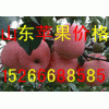 【出售★蘋果】山東嘎啦*美八蘋果產地價格