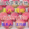 山東美八蘋果嘎啦蘋果今日行情批發價格