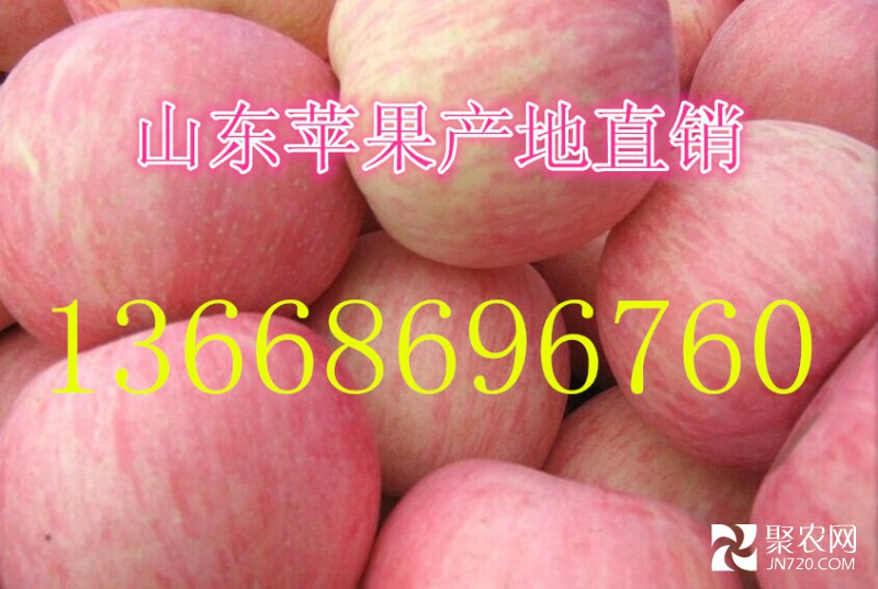 蘋果
