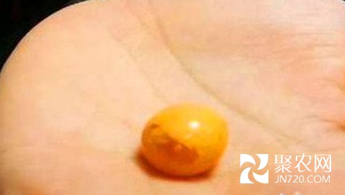 圖片7