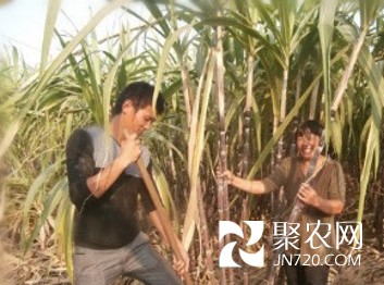 圖片14