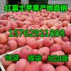 15762911888精品紅富士蘋果主產地價格