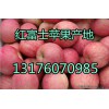 山東農(nóng)戶果園紅富士蘋果大量批發(fā)