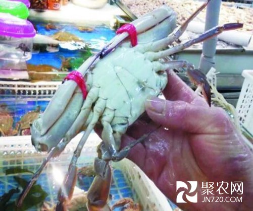 圖片2
