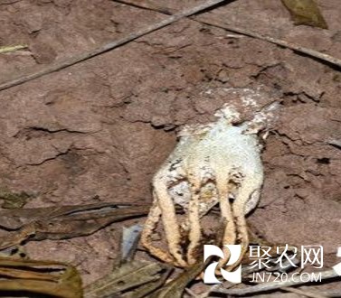 圖片4