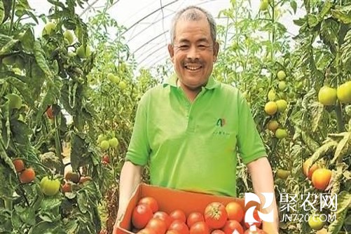圖片6