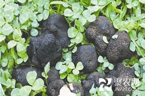 圖片10