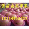 18764958222山東紙袋/膜袋/紙夾膜紅富士蘋果價格