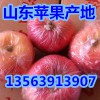 山東地區紅富士蘋果哪里最好吃，哪里紅富士蘋果便宜質量最好
